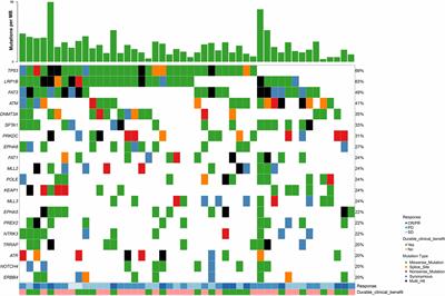 Comutations in DDR Pathways Predict Atezolizumab Response in Non-Small Cell Lung Cancer Patients